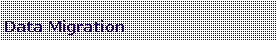 Text Box: Data Migration